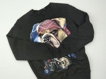 cargo pull and bear: Horze, Толстовка для чоловіків, розмір M — 1