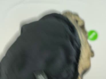 bluzki zlote: Bluzka damska, rozmiar M — 6