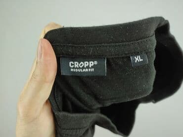 t shirt crop oversize: Cropp, Koszulka dla mężczyzn, rozmiar XL — 4