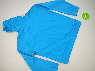 palace bluzy: Stedman, Bluza z kapturem dla mężczyzn, rozmiar 2XL — 3