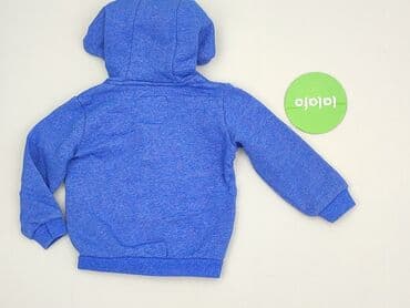 domodi.pl sukienki: Sweatshirt, Lupilu, 9-12 months, condition - Very good — 3