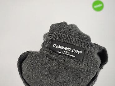 pull: Cedar Wood State, Sweter for men, size L — 5