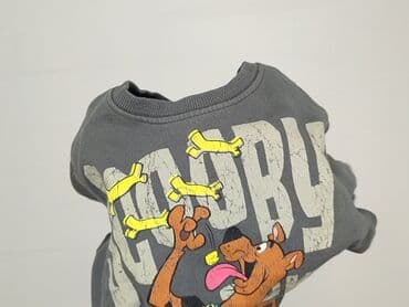 podkoszulek lucyfer allegro: Sweatshirt, Next, 7 years, 116-122 cm, condition - Very good — 6