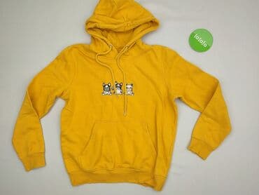 koszulka z napisem dzik: Hoodie for men, M (EU 38), House, condition - Good — 2