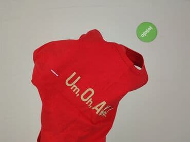 Kobiety: T-shirt damski, rozmiar M — 6