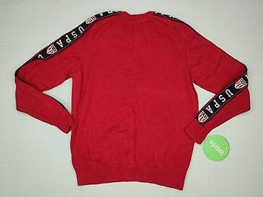 polo bear sweter: Us Polo Assn, Sweter dla mężczyzn, rozmiar L — 3