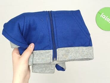 sukienka sweter h: Sweatshirt, 12-18 months, condition - Very good — 5
