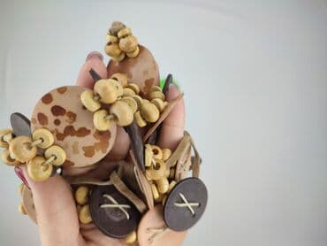 tanie krawaty: Pasek, Damskie, stan - Bardzo dobry — 4