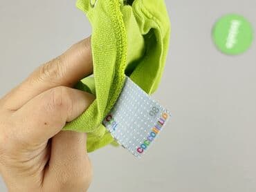 spodenki napapijri: Боді, Coccodrillo, 2-3 р., 92-98 см, стан - Дуже гарний — 4