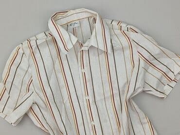 koszula wiya w paski: ERFO, Bluzka damska, M — 1