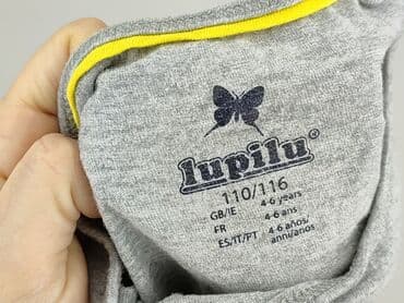 koszula flanelowa lidl: Bluzka, Lupilu, 5-6 lat, 110-116 cm, stan - Bardzo dobry — 4