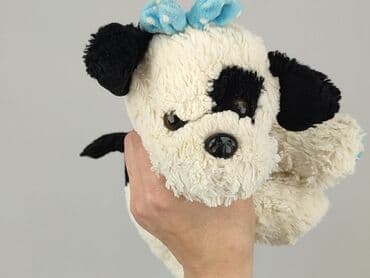 koszulka z mopsem: Mascot Dog, condition - Very good — 3
