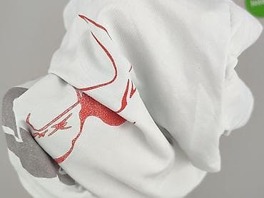pull and bear7: Koszulka dla mężczyzn, rozmiar XL — 7