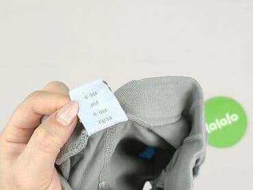 legginsy niemowlęce h: Shorts, Coccodrillo, 6-9 months, condition - Very good — 5