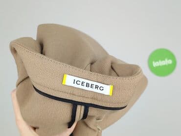 Жінкам: Iceberg, Спідниця жіноча, L — 4