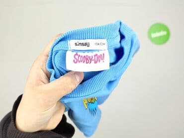 wojcik rajstopy: Sweatshirt, Sinsay, 3-4 years, 98-104 cm, condition - Very good — 4