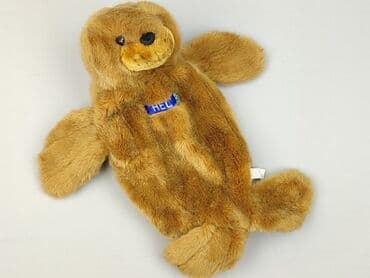 kapcie w ccc: Mascot condition - Perfect — 1