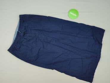 Women: Next, Women`s skirt, size L (EU 40) — 2
