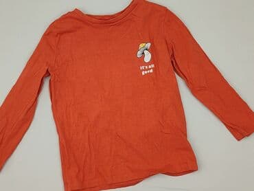 koszulka koty: Blouse, Sinsay, 2-3 years, 92-98 cm, condition - Good — 1