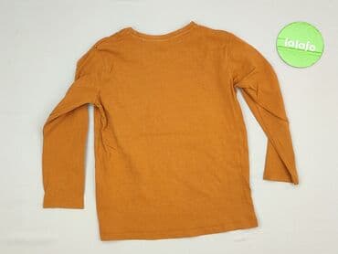 rajstopy ciekawe wzory: Sweatshirt, Little kids, 5-6 years, 110-116 cm, condition - Very good — 3