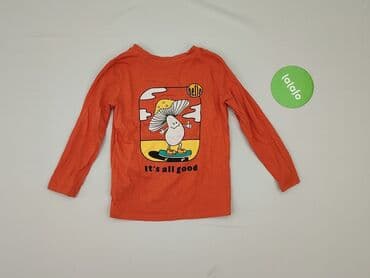 koszulka koty: Blouse, Sinsay, 2-3 years, 92-98 cm, condition - Good — 3
