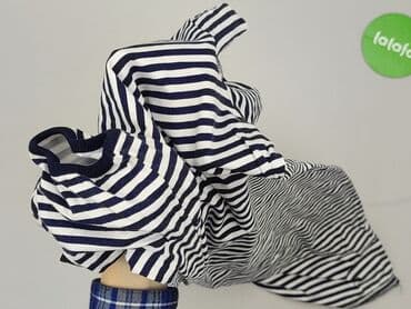 sukienki w paski: Dorothy Perkins, Sukienka damska, rozmiar M — 5