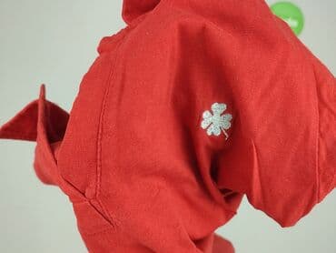 lidl t shirt: Inside, Damska koszulka polo, rozmiar M — 6