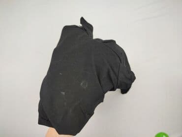 spodnie duże rozmiary damskie: XLNT, Spodnie materiałowe damskie, rozmiar 4XL — 6