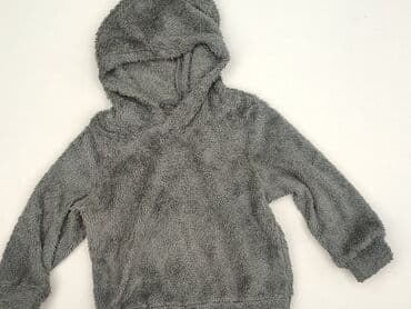 koszulka wilk i zając: Sweatshirt, 4-5 years, 104-110 cm, condition - Perfect — 1