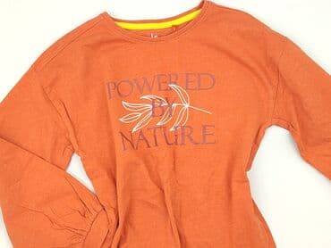 Blouses: Blouse, Lincoln & Sharks, 10 years, 134-140 cm, condition - Very good