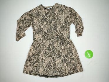 zara sukienka zebra: Zara, Women`s dress, size S (EU 36) — 2