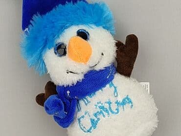 Mascot condition - Perfect — 1