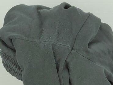 lidl kurtka puchowa: House, Спортивні штани для чоловіків, L — 7