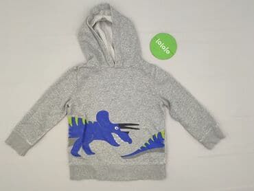 kurtka napapijri: Sweatshirt, Palomino, 7 years, 116-122 cm, condition - Very good — 2