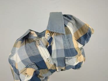 reserved koszulka w koty: Shirt for men, L (EU 40), Tom Tailor, condition - Perfect — 7