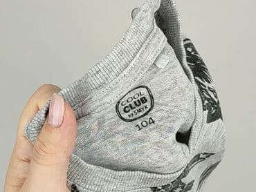 koszulka wilk i zając: Bluza, Cool Club, 3-4 lat, 98-104 cm, stan - Idealny — 5