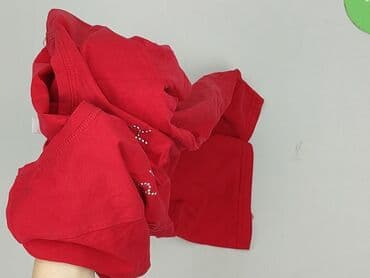 max verstappen t shirty: T-shirt damski, rozmiar XL — 6