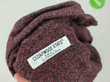 koszulka arsenal z własnym nadrukiem: Cedar Wood State, Koszulа dla mężczyzn, S — 4