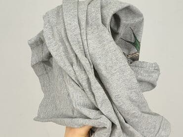 sweter od mango: Dickies, Koszulka dla mężczyzn, rozmiar L — 5