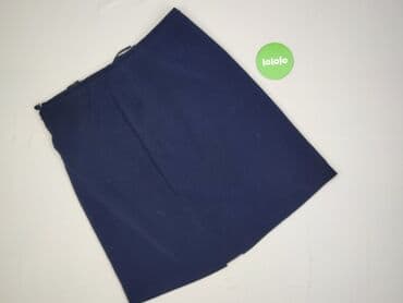 niebieska spódnice plisowane: Spódnica damska, 3XL — 3