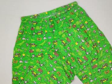 alphar one spodnie dresowe: Jurassic Park, Spodnie dresowe damskie, rozmiar 3XL — 1