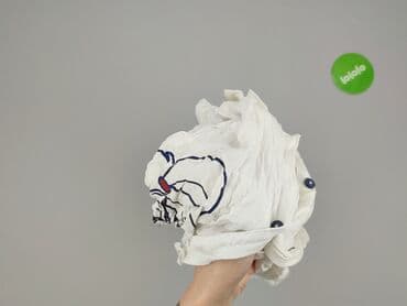 koszula artur: Looney Tunes, Koszula damska, rozmiar 2XL — 6