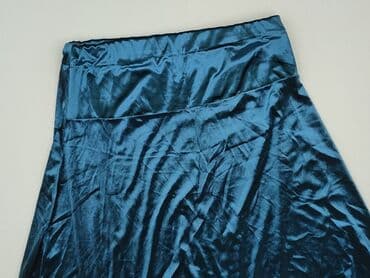 Women`s skirt