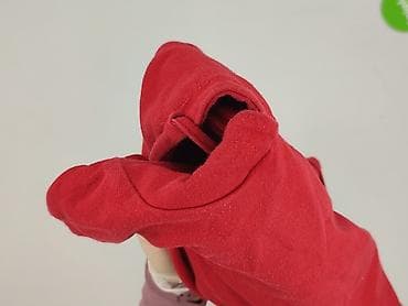 bluzka kosciotrup: Wassyl, Bluza z kapturem damska, rozmiar L — 5