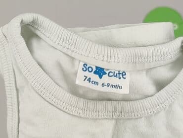 koszulka apator toruń: T-shirt, So cute, 6-9 months, condition - Very good — 4