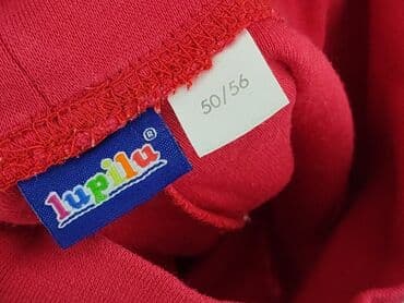 kapcie w ccc: Leggings, Lupilu, 0-1 month, condition - Perfect — 4