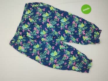 leginsy janina: Janina, Spodnie damskie, rozmiar 3XL — 3