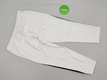 spodnie z wiskozy lidl: Zara, Spodnie materiałowe damskie, L — 3