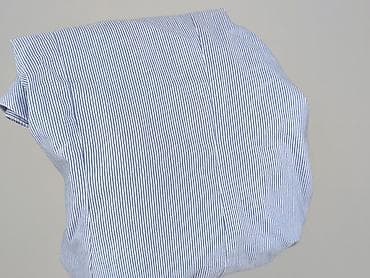 blue: Wibs, Koszula damska, rozmiar 4XL — 6