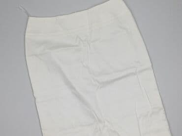 plisowane spódnice lidl: Spódnica damska, L — 1